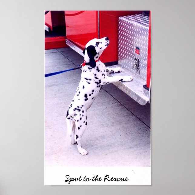 Póster Punto al rescate (Frente)