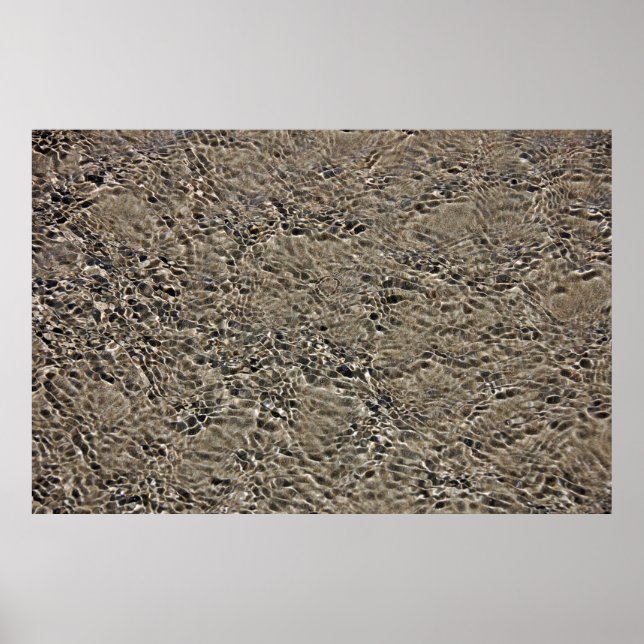 Póster Punto de corte (Frente)