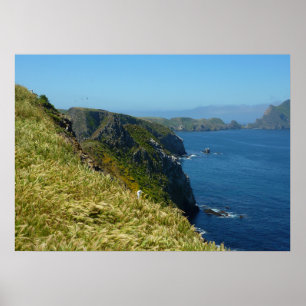 Póster Punto de Inspiración de Anacapa II en las Islas de