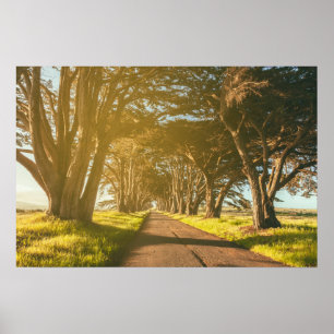 Póster Punto de túnel Cypress Reyes Mar Nacional