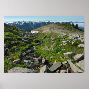 Póster Punto panorámico del Monte Rainier