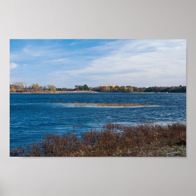 Póster punto pantanoso en el refugio necedah (Frente)