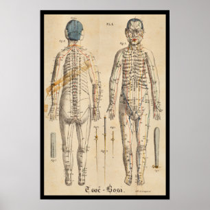 Póster Puntos 1825 del meridiano de la acupuntura del