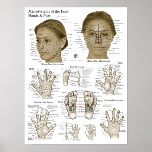 Póster Puntos de Acupresión Cara Mano Pies