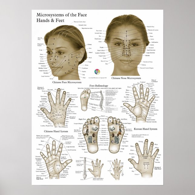 Póster Puntos de Acupresión Cara Mano Pies (Frente)