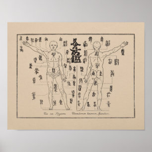 Póster Puntos de Moxa en la acupuntura japonesa