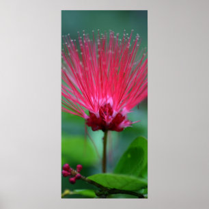 Póster Puntos rosados