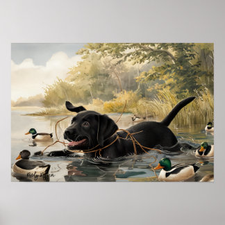 Póster Puppy de Labrador Negro, Poster de Caza de Labrado