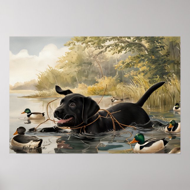 Póster Puppy de Labrador Negro, Poster de Caza de Labrado (Frente)