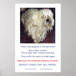 Póster Puppy Mills Race Misery Poster