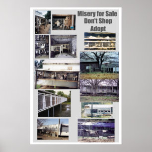 Póster Puppy Mills Race Misery Poster