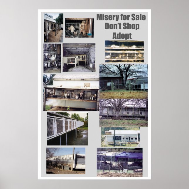 Póster Puppy Mills Race Misery Poster (Frente)