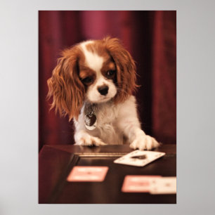 Póster Puppy Plays Cards
