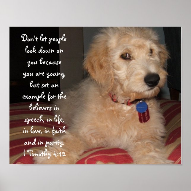 Póster Puppy Sam (Frente)