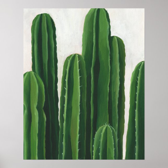 Póster Pura Vida - Grupo Cacti (Frente)