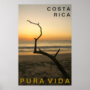 Póster PURA VIDA Playa Flamingo
