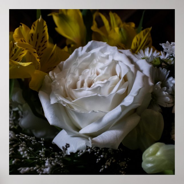 Póster Pure (Frente)