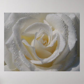 Póster 'Purity' Poster