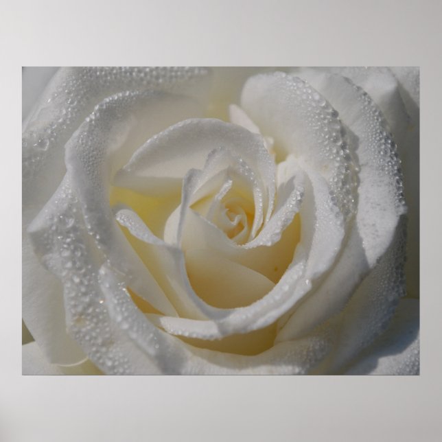 Póster 'Purity' Poster (Frente)