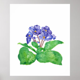 Póster purple African violet watercolor painting