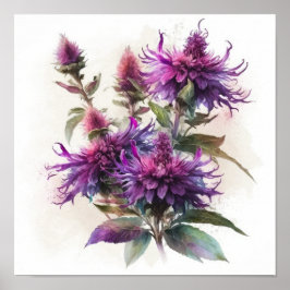 Póster Purple Bee Balm Flower Art Print Poster