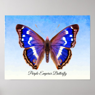 Póster Purple Emperor Butterfly Watercolor Painting Print