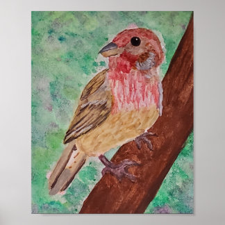 Póster Purple Finch 