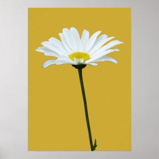 Póster Purple Flowers Print Classic Daisies Poster Print