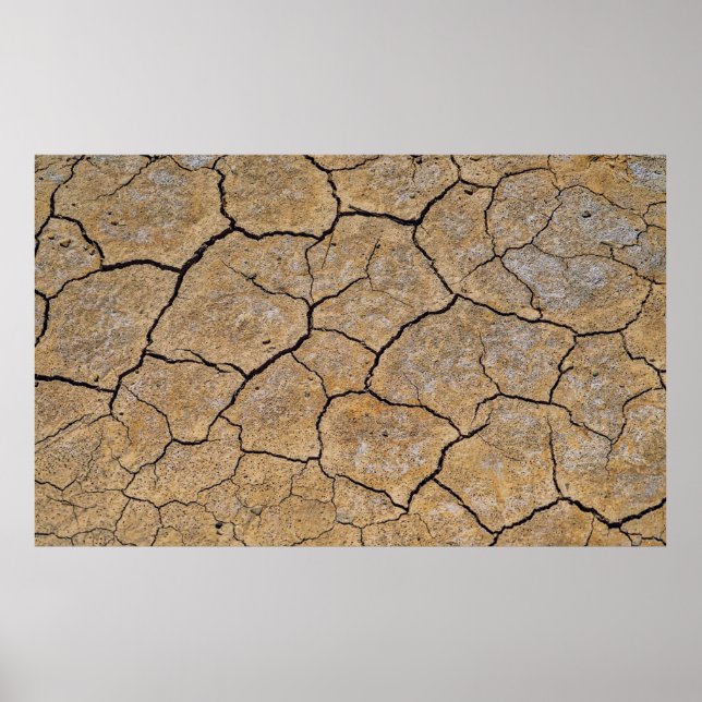 Póster Purple ground (Frente)