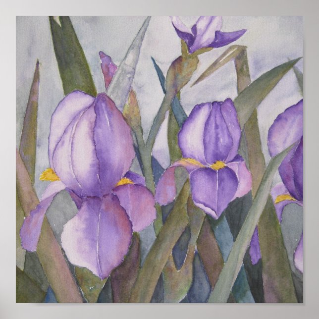 Póster Purple iris blooms (Frente)