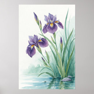 Póster Purple Iris Flowers