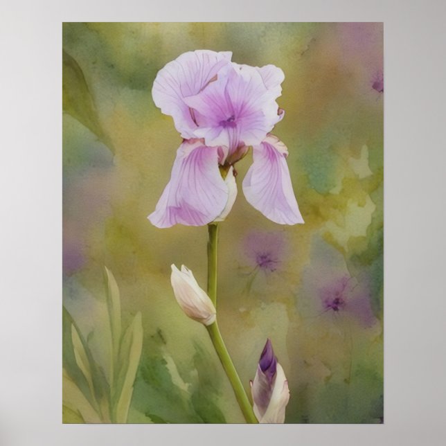 Póster Purple Iris Garden Art Flower Floral Poster (Frente)