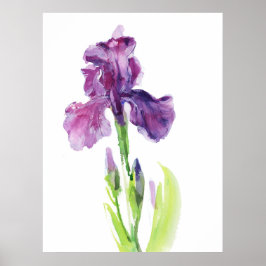 Póster Purple Iris in Light Watercolor