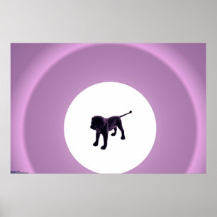 Póster Purple Lion