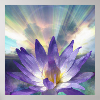 Póster Purple Lotus