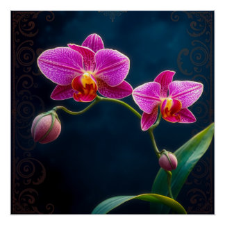 Póster purple orchids