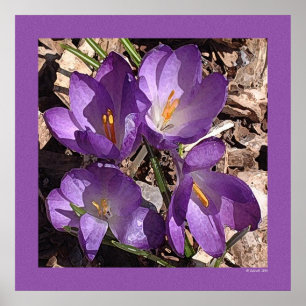 Póster Purple Sofa Flowers