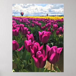 Póster Purple Tulips in a Field with a Hot Air Balloon