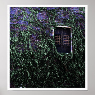 Póster Purple Window ~ Poster / Imprimir