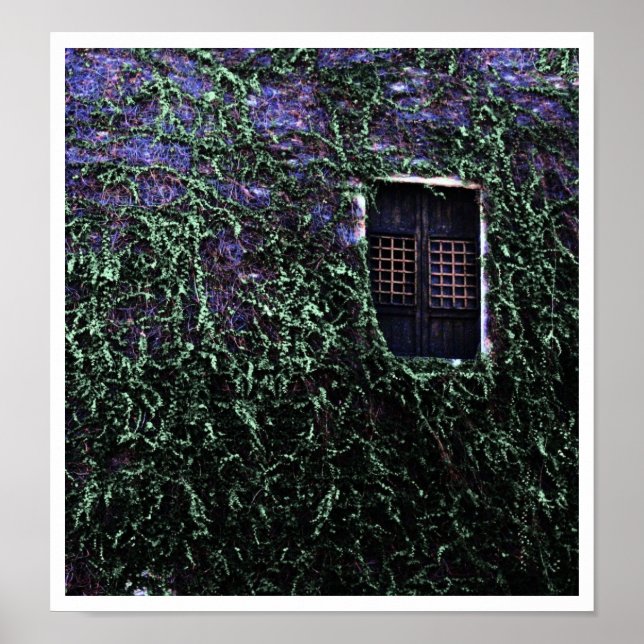 Póster Purple Window ~ Poster / Imprimir (Frente)