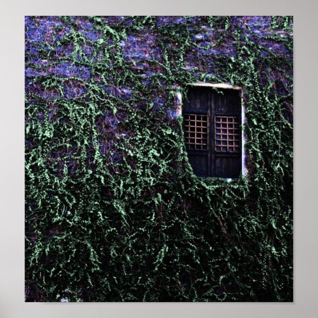 Póster Purple Window ~ Poster / Imprimir (Frente)