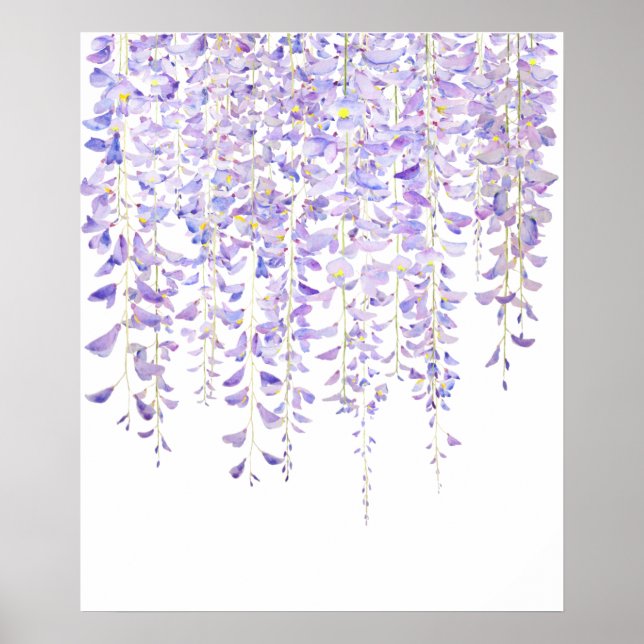 Póster purple wisteria in bloom watercolor 2021 (Frente)