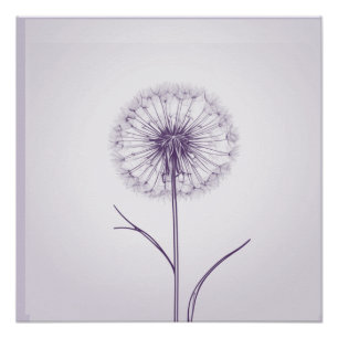 Póster Púrpura Dandelion