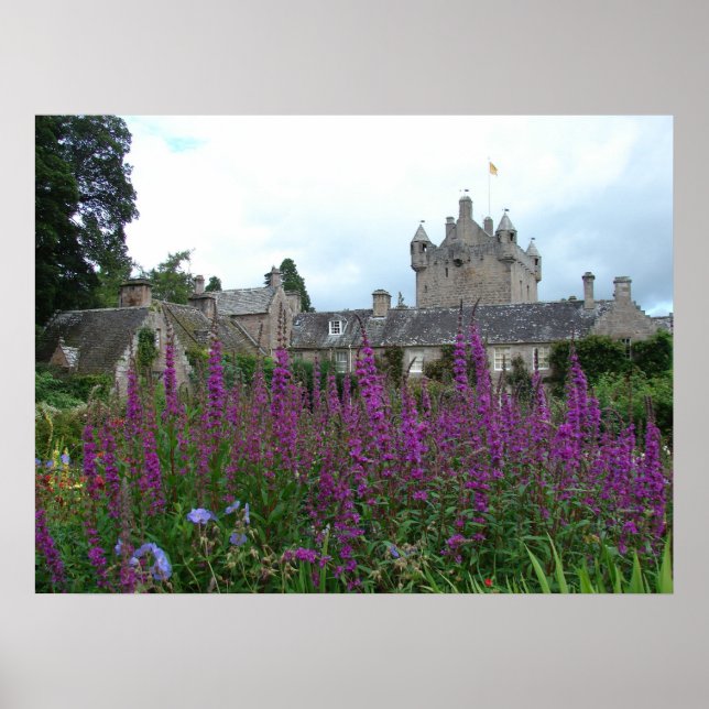 Póster Púrpura de imagen (Frente)