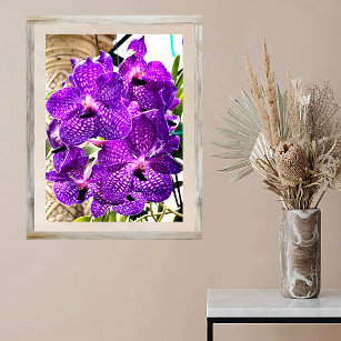Póster Púrpura Flor Luna Orquídea Planta Tropical