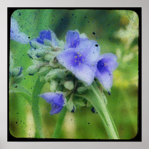 Póster Púrpura Floral TTV