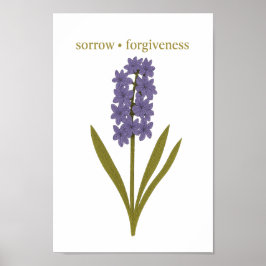 Póster Púrpura Hyacinth — Dolor, perdón