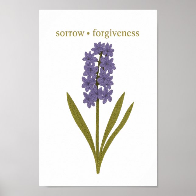 Póster Púrpura Hyacinth — Dolor, perdón (Frente)