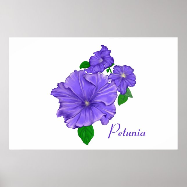 Póster Púrpura Petunias (Frente)