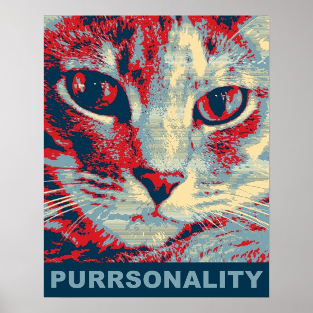PÓSTER PURRSONALIDAD (Frente)